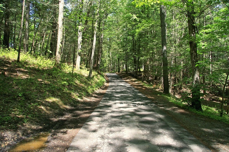 Great Smoky Mountains National Park, Tennessee, USA