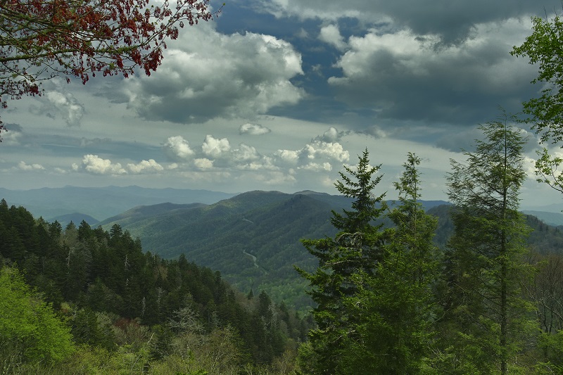 Great Smoky Mountains National Park, Tennessee, USA