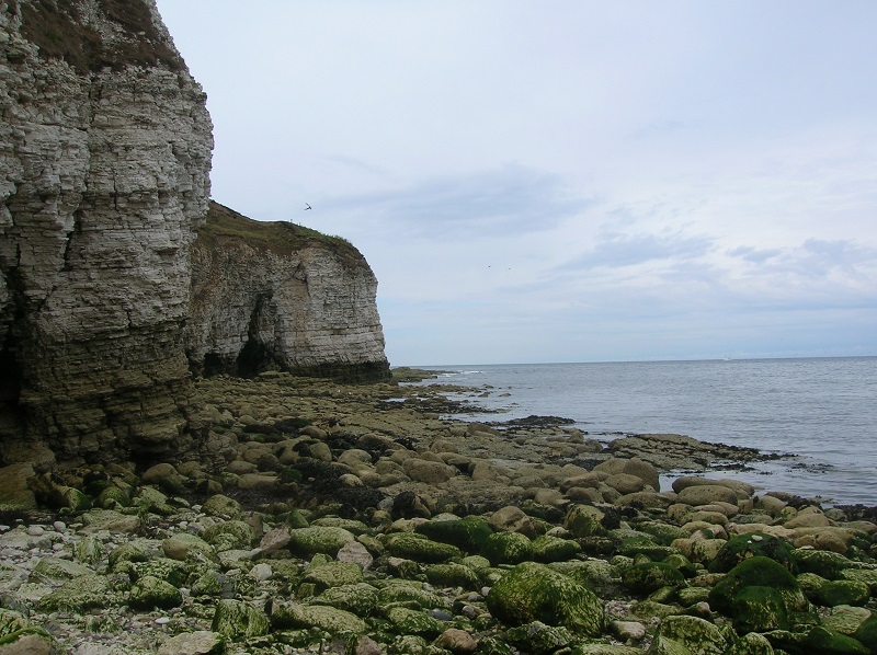 Flamborough Head