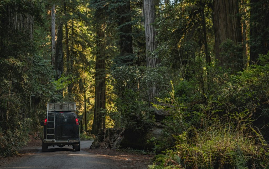 Camper Van Road Trip to the California Redwoods