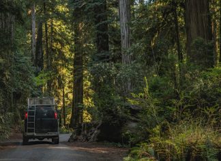 Camper Van Road Trip to the California Redwoods