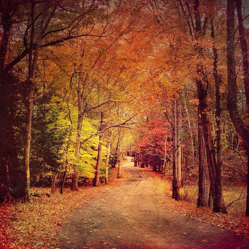 country-lane-in-the-peak-of-fall-in-the-hudson-val