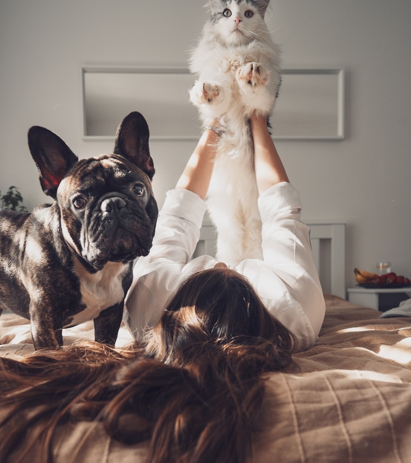 a-young-woman-on-the-bed-is-playing-with-her-pets