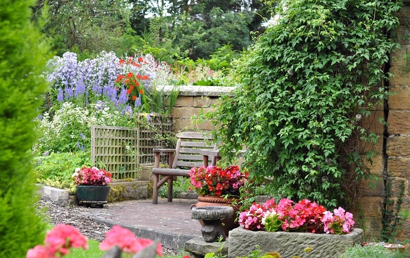 in-the-backyard-beautiful-flowers-garden-wooden
