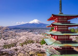 Chureito red pagoda with sakura in foreground and mount Fuji in background, Fujiyoshida, Japan