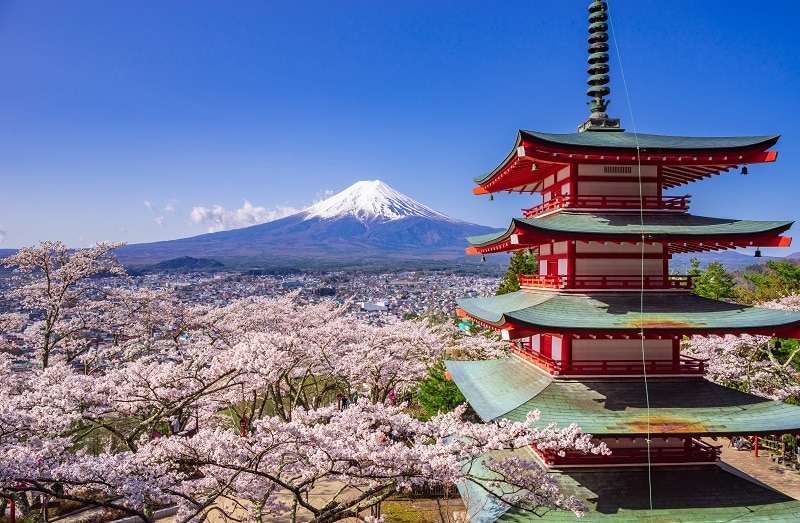 Chureito red pagoda with sakura in foreground and mount Fuji in background, Fujiyoshida, Japan