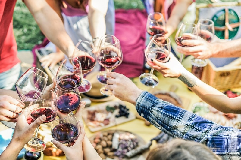Group of friends enjoying picnic while drinking red wine and eat