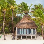 Tips for Maintaining a Beach House