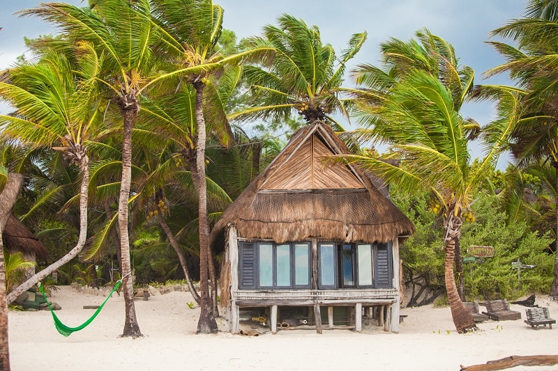 Tropical beach house on ocean shore among palm trees