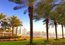 Tips for Dubai Travel
