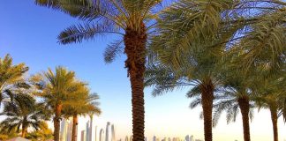 Tips for Dubai Travel