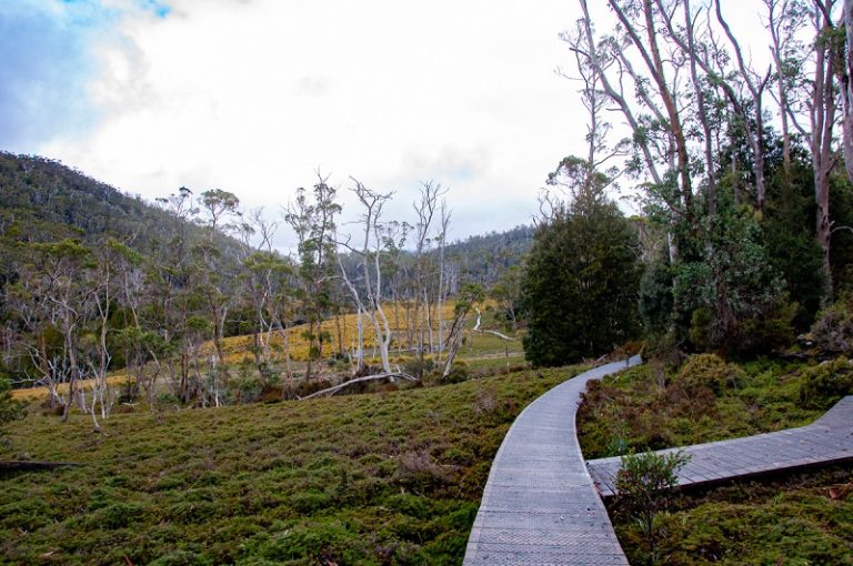 Five Best Cradle Mountain Walks in Tasmania