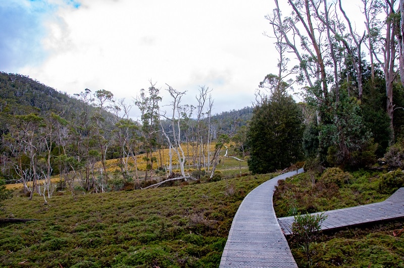 CradleValleyBoardwalk