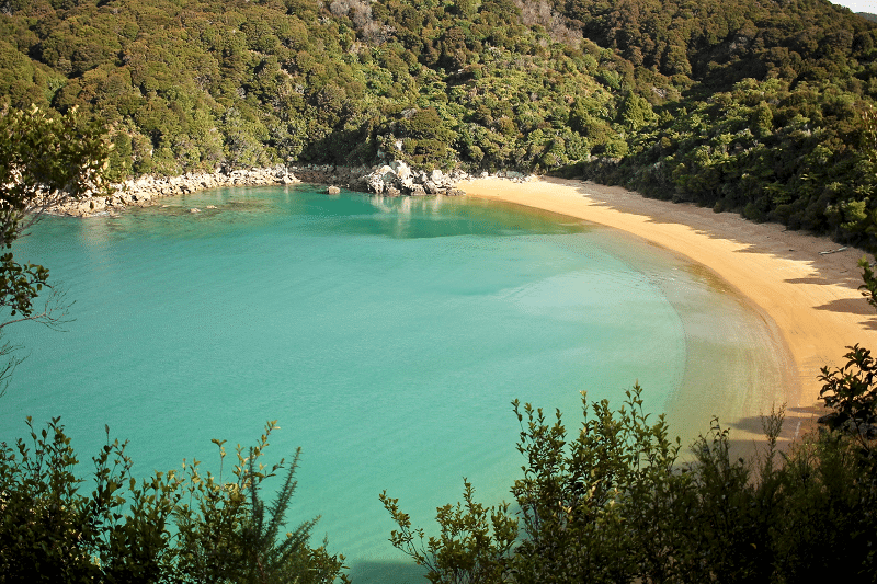 New Zealand Unplugged – Prime Locations for the Nature Lover