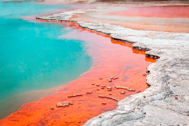 Thermal Wonderland of Rotorua