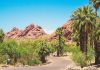 curved-road-through-a-desert-oasis-with-palm-trees