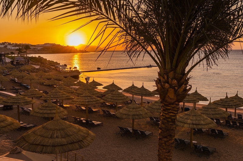 Sunset at the beach with palm trees, parasols and sunbeds.