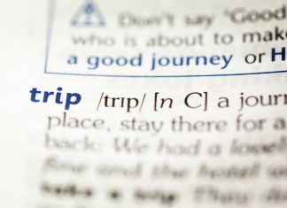 trip definition